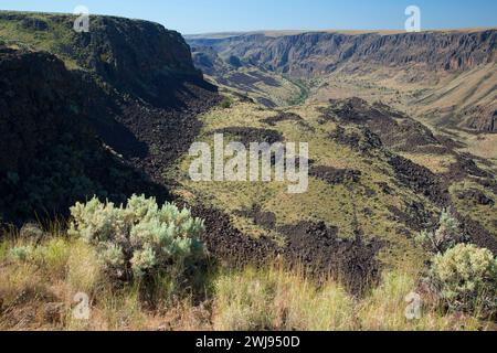 Owyhee Canyon Overlook, Owyhee Wild and Scenic River, Vale District Bureau of Land Management, Oregon Stock Photo