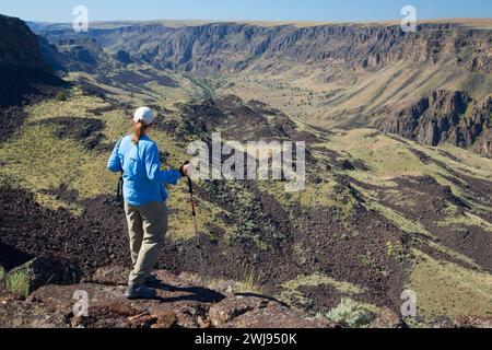 Owyhee Canyon Overlook, Owyhee Wild and Scenic River, Vale District Bureau of Land Management, Oregon Stock Photo