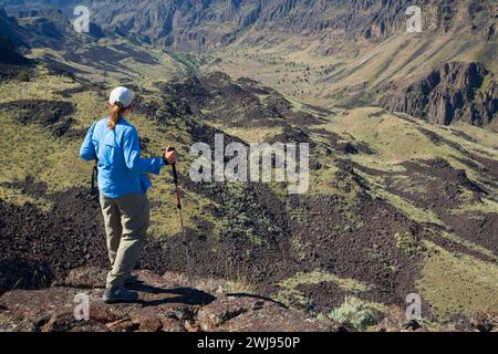 Owyhee Canyon Overlook, Owyhee Wild and Scenic River, Vale District Bureau of Land Management, Oregon Stock Photo