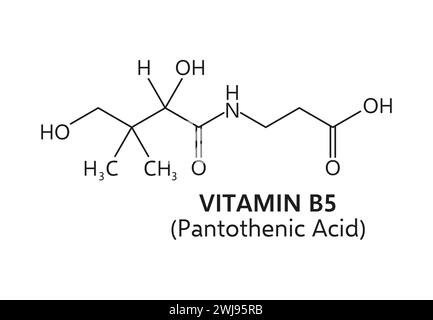 Vitamin b5, or pantothenic acid chemical formula structure comprising a pantoic acid moiety linked to a beta-alanine group. Vector scheme of element that plays a crucial role in energy metabolism Stock Vector