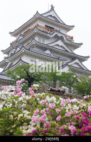 Beautiful landscape of Fukuyama Castle  pink and white Rhododendron flowers foreground in Spring, Hiroshima Prefecture, Japan. Vertical image Stock Photo