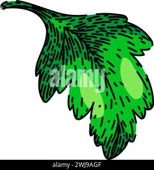 top parsley sketch hand drawn vector Stock Vector Image & Art - Alamy