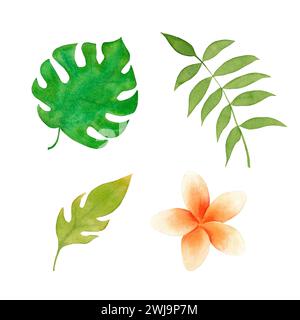 Watercolor tropical plants set. Hand drawn illustration, isolated on white background Stock Photo