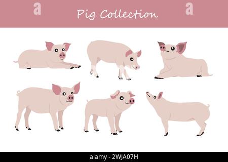 Set of cute pigs. Vector illustration. Isolated on white background. Stock Vector