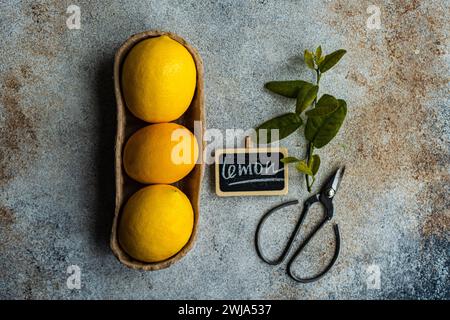 Three ripe lemons accompanied by green leaves displayed in a carton alongside a chalkboard label and vintage scissors on a textured backdrop Stock Photo