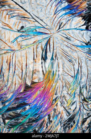 Vibrant multi-colored feathers spread over a crinkled textured backdrop, creating a captivating abstract design Stock Photo