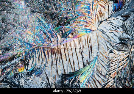 This image showcases an abstract textured surface with iridescent patterns resembling colorful feathery structures Stock Photo