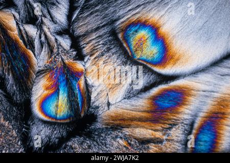 This close-up showcases the iridescent scales on butterfly wings, with a stunning spectrum of colors gleaming in a patterned array Stock Photo