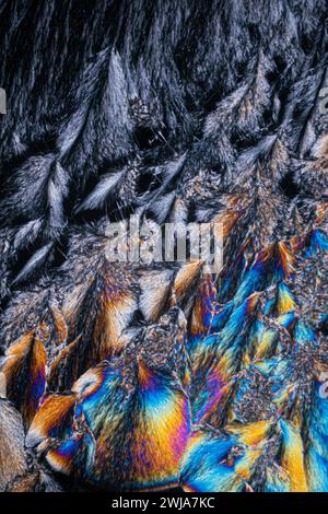 Macro photography showcases the intricate texture and iridescent colors of a butterfly wing, highlighting nature's detailed patterns Stock Photo
