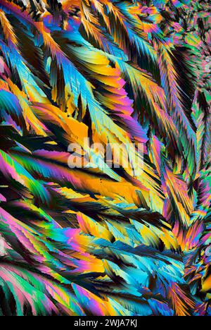 A stunning close-up shot of a textured surface resembling vibrant feathers or crystals in a vivid and colorful abstract pattern Stock Photo