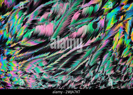 A digital abstract texture that resembles colorful, vibrant feathers in a chaotic arrangement Stock Photo