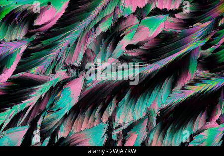 An image featuring a close-up of feathers with an abstract neon color palette, creating a vibrant visual texture Stock Photo