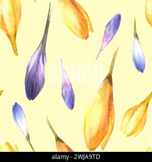 Watercolor early spring primary flowers Blue, yellow crocuses, saffron seamless pattern Hand drawn illustration Ester wedding birthday wrapping Stock Photo