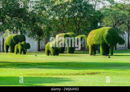 bushes cutted as elephants in the park of Bang Pa-In in  Ayutthaya, Thailand Stock Photo