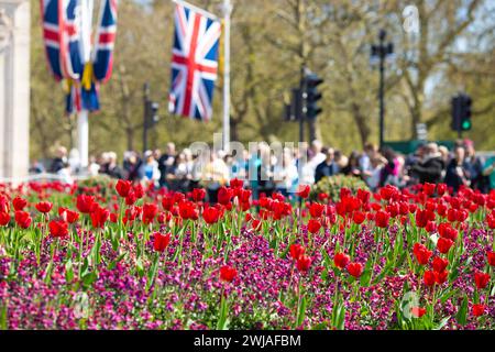 People take photographs near Buckingham Palace as London prepares for the coronation of King Charles III. Stock Photo