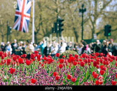 People take photographs near Buckingham Palace as London prepares for the coronation of King Charles III. Stock Photo