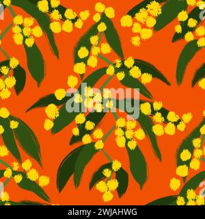 Hand drawn seamless pattern with yellow zig zag wattle, Acacia macradenia. Australia Australian plant flora, spring flower floral print, nature tree bush wild landscape art Stock Photo