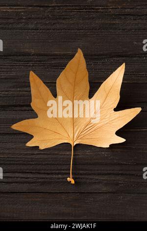 Dry yellow leaf on a structural wooden background top view. Autumn leaf on a dark background. Dry maple sycamore leaf. Autumn composition. Stock Photo