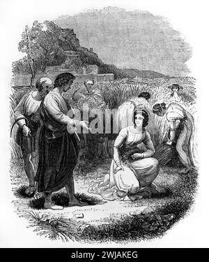 Illustration of Ruth Meeting Boaz in Corn Field Book of Ruth (Ruth XI.10) Old Testament Illustrated Family Bible Stock Photo