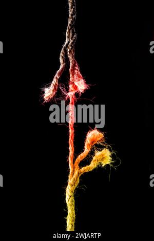 Almost torn hemp rope against with the German national colours Stock Photo
