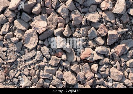 Gravel texture close up. Stones and pebbles on the ground under the rays of sunlight. Stock Photo