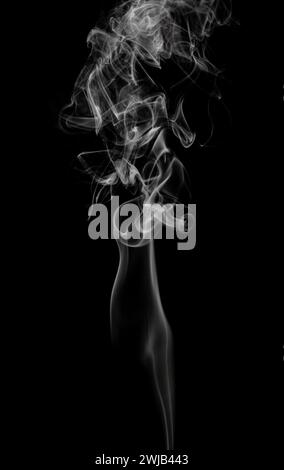 The abstract figure of the smoke on a black background Stock Photo