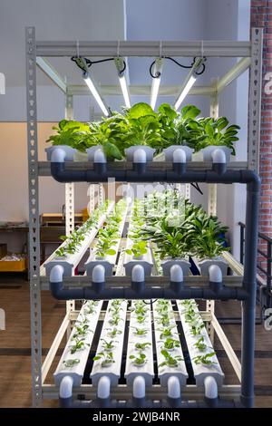 Vertical multi-level indoor hydroponic vegetable farming with led ...