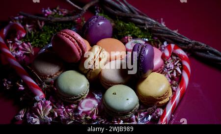 Colorful macarons and sugar canes surrounded by blossoms. Stock Photo