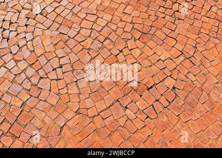 Red mosaic on sidewalk in Ribeirao Preto, Sao Paulo, Brazil Stock Photo