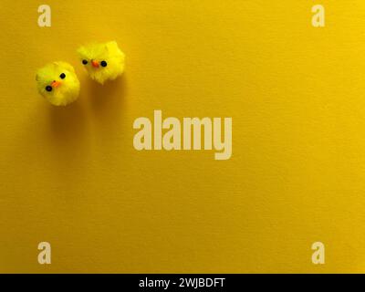 Fluffy yellow Easter chicks isolated on a yellow background with copy space Stock Photo