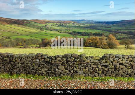 Glaisdale, UK - Beautiful view along the dale with colourful heather, drystone wall, fields and all under bright bright sky in autumn. Glaisdale, UK. Stock Photo