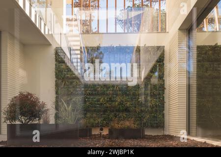 Central view of an interior garden hanging behind a glass wall on the first floor of a luxury home Stock Photo