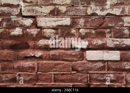 Close-up of old brownish red brick wall with white blotches and exposed mortar joints. Stock Photo