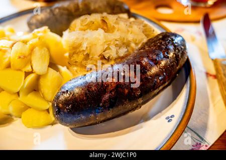 Grilled black pudding (sausage) with stewed cabbage and boiled potato, closeup. Stock Photo