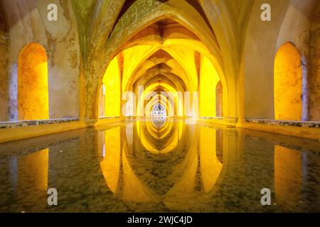 Golden Reflections: The Baths of María de Padilla in Seville’s Alcazar, Spain Stock Photo