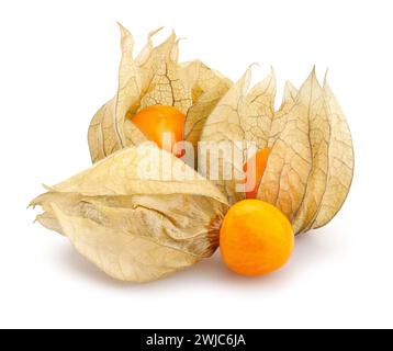 physalis winter cherry path isolated on white Stock Photo