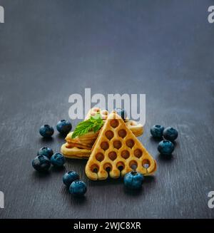 Breakfast with blueberries. waffles with fresh blueberries, healthy food, breakfast. Waffles with berries. Banner. Homemade cake with berries. Copy sp Stock Photo