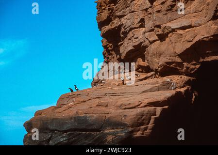 Sandstone cliffs along the shore of Cap aux Meules in the Magdalen Islands, Isles du Madeleine in the Gulf of St Lawrence, Quebec, Canada Stock Photo