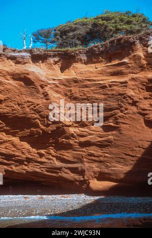 Sandstone cliffs along the shore of Cap aux Meules in the Magdalen Islands, Isles du Madeleine in the Gulf of St Lawrence, Quebec, Canada Stock Photo