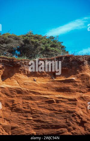 Sandstone cliffs along the shore of Cap aux Meules in the Magdalen Islands, Isles du Madeleine in the Gulf of St Lawrence, Quebec, Canada Stock Photo