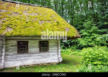 Wooden ethnic house with thatched roof in Museum of folk architecture and life of the Carpathian Region in Halych, Western Ukraine. Stock Photo