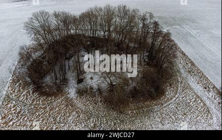 Group of trees in a snowy field captured with a drone Stock Photo