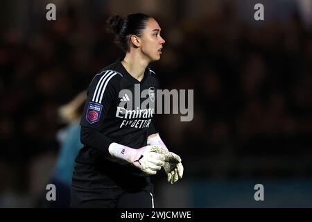 Dartford, UK. 14th Feb, 2024. Dartford, Kent, 14 February 2024: Goalkeeper Manuela Zinsberger (1 Arsenal) during the Continental Tyres League Cup football match between London City Lionesses and Arsenal at Princes Park in Dartford, England. (James Whitehead/SPP) Credit: SPP Sport Press Photo. /Alamy Live News Stock Photo