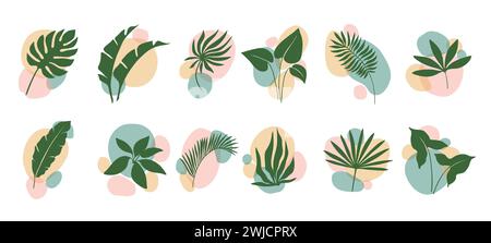 Boho leaf and plants, abstract organic shapes floral art and minimalist graphic design, vector set. Boho green leaves of palm and monstera or tropical plants and exotic fern leaf for botanical print Stock Vector