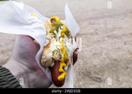 Hand holding a genuine American hot dog in a bun with onions, cucumber and french mustard. Stock Photo