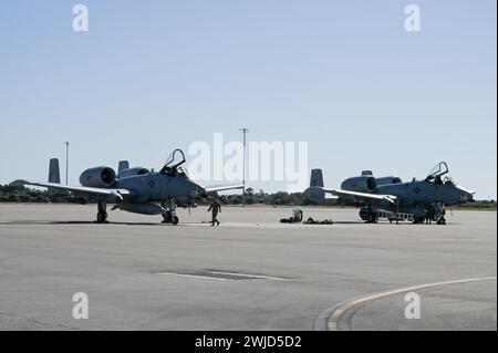 Crew chiefs assigned to the 442nd Aircraft Maintenance Squadron, perform a post flight inspection on an A-10C Thunderbolt II assigned to the 303rd Fighter Squadron, Whiteman Air Force Base, Missouri, Feb. 6, 2024 at MacDill AFB, Florida. The A-10 can employ a variety of conventional munitions including general purpose bombs, cluster bomb units, laser guided bombs and joint direct attack munitions. It utilizes the GAU-8/A 30mm cannon, capable of firing 3,900 rounds per minute to defeat a wide variety of targets including tanks. (U.S. Air Force photo by Airman 1st Class Sterling Sutton) Stock Photo