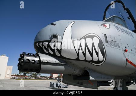 Crew chiefs assigned to the 442nd Aircraft Maintenance Squadron, perform a post flight inspection on an A-10C Thunderbolt II assigned to the 303rd Fighter Squadron, Whiteman Air Force Base, Missouri, Feb. 6, 2024 at MacDill AFB, Florida. The A-10 can employ a variety of conventional munitions including general purpose bombs, cluster bomb units, laser guided bombs and joint direct attack munitions. It utilizes the GAU-8/A 30mm cannon, capable of firing 3,900 rounds per minute to defeat a wide variety of targets including tanks. (U.S. Air Force photo by Airman 1st Class Sterling Sutton) Stock Photo