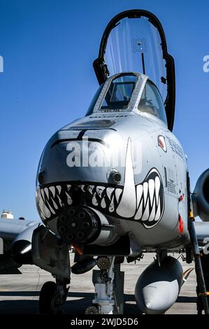 Crew chiefs assigned to the 442nd Aircraft Maintenance Squadron, perform a post flight inspection on an A-10C Thunderbolt II assigned to the 303rd Fighter Squadron, Whiteman Air Force Base, Missouri, Feb. 6, 2024 at MacDill AFB, Florida. The A-10 can employ a variety of conventional munitions including general purpose bombs, cluster bomb units, laser guided bombs and joint direct attack munitions. It utilizes the GAU-8/A 30mm cannon, capable of firing 3,900 rounds per minute to defeat a wide variety of targets including tanks. (U.S. Air Force photo by Airman 1st Class Sterling Sutton) Stock Photo