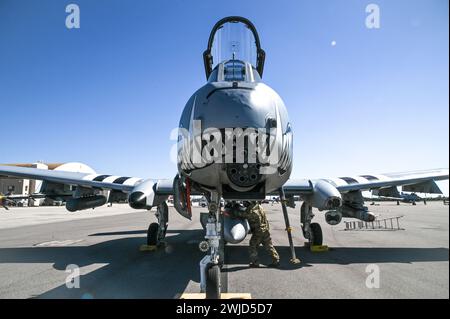 Crew chiefs assigned to the 442nd Aircraft Maintenance Squadron, perform a post flight inspection on an A-10C Thunderbolt II assigned to the 303rd Fighter Squadron, Whiteman Air Force Base, Missouri, Feb. 6, 2024 at MacDill AFB, Florida. The A-10 can employ a variety of conventional munitions including general purpose bombs, cluster bomb units, laser guided bombs and joint direct attack munitions. It utilizes the GAU-8/A 30mm cannon, capable of firing 3,900 rounds per minute to defeat a wide variety of targets including tanks. (U.S. Air Force photo by Airman 1st Class Sterling Sutton) Stock Photo