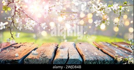Spring Table - Cherry Flowers On Branches In Abstract Defocused Background With Bokeh Lights Stock Photo